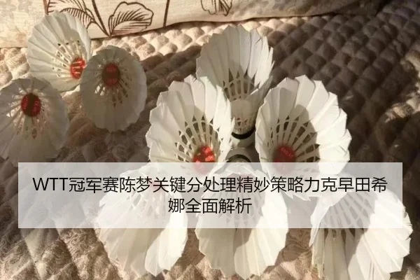 WTT冠军赛陈梦关键分处理精妙策略力克早田希娜全面解析
