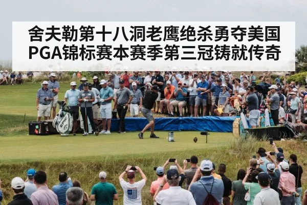舍夫勒第十八洞老鹰绝杀勇夺美国PGA锦标赛本赛季第三冠铸就传奇