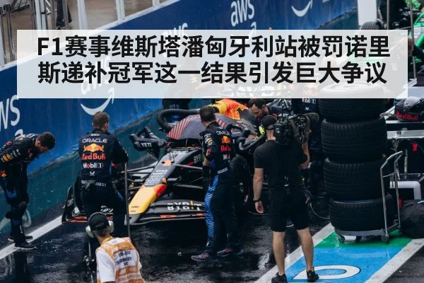 F1赛事维斯塔潘匈牙利站被罚诺里斯递补冠军这一结果引发巨大争议
